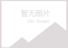 河池如波化学有限公司